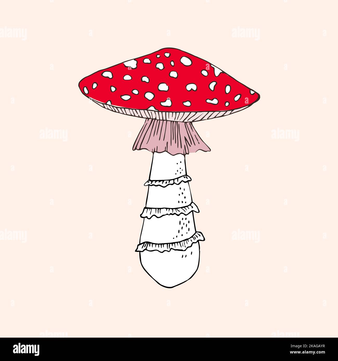 Red cup fly agaric hand drawn vector illustration. Stock Vector