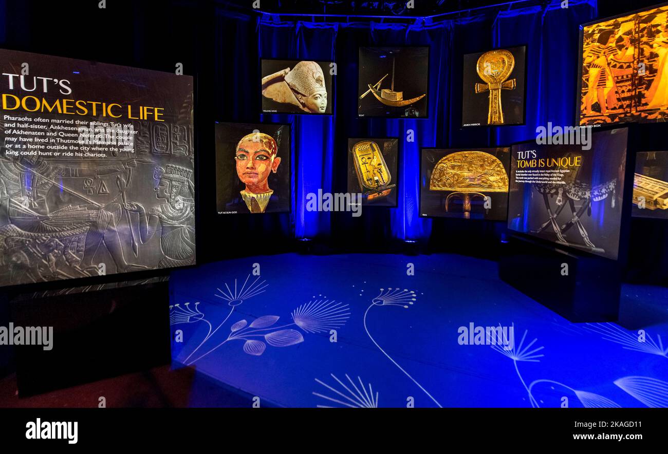 Los Angeles, California, USA. 02nd Nov, 2022. Beyond King Tut The