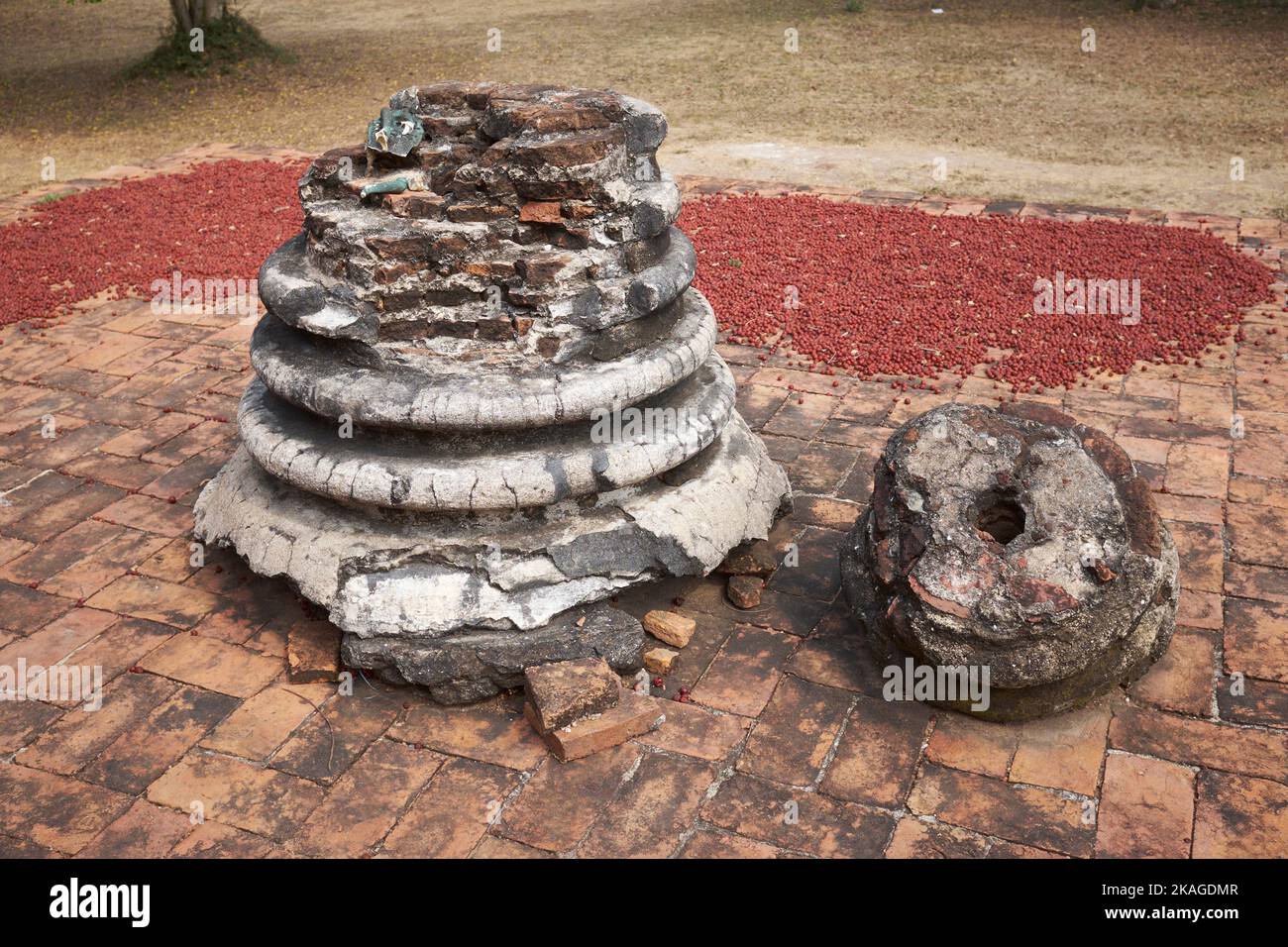 temple-ruins-in-the-ayutthaya-historical-park-ayutthaya-thailand-stock