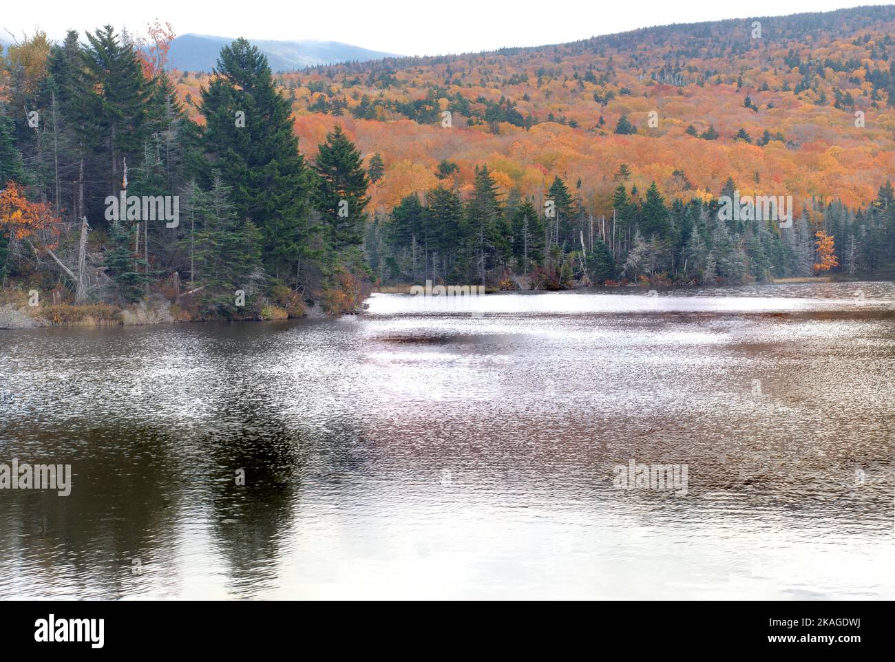 Autumn in White Mountains of New Hampshire. Ripples on surface of Long Pond, hillside of colorful fall foliage, and Mount Moosilauke in the clouds. Stock Photo