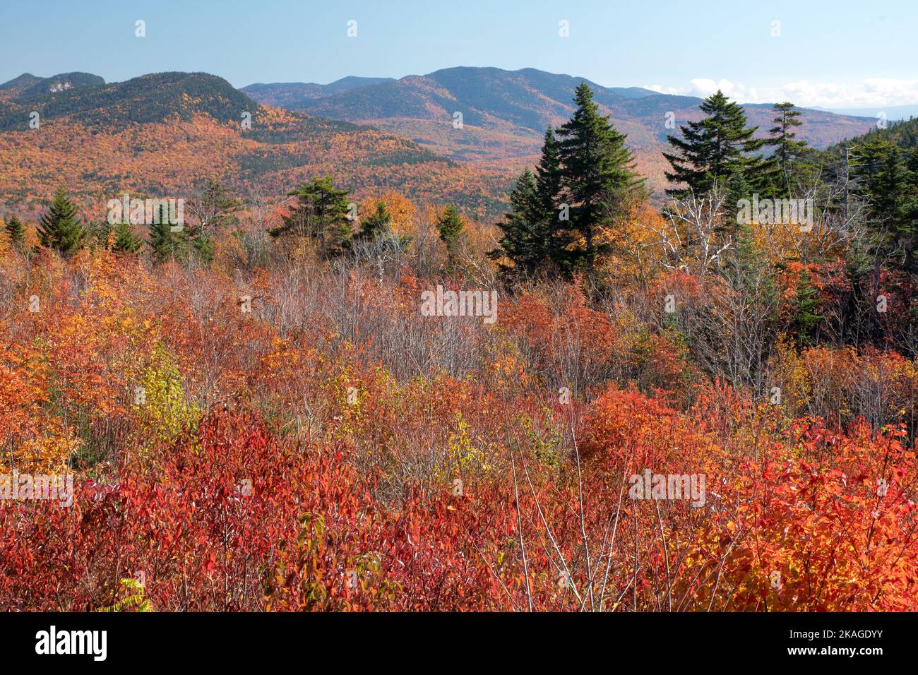 Stunning view of vibrant fall foliage and distant mountain range in