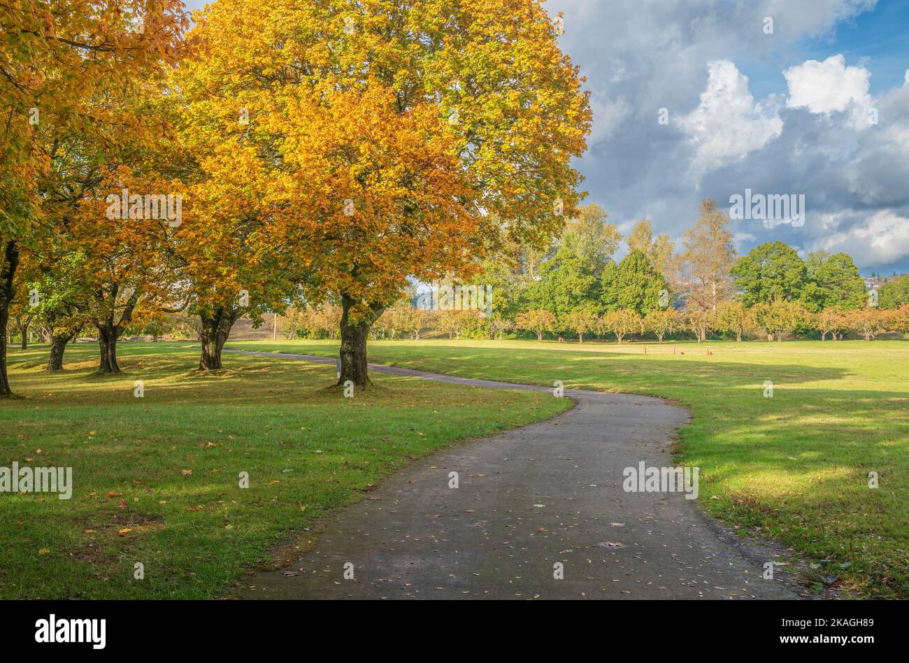 Autumn weather and color changes in a public park Fairview Oregon state Stock Photo Alamy
