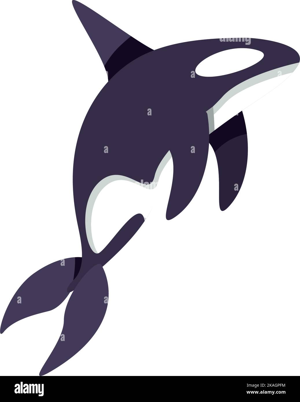 flat killer whale Stock Vector Image & Art - Alamy