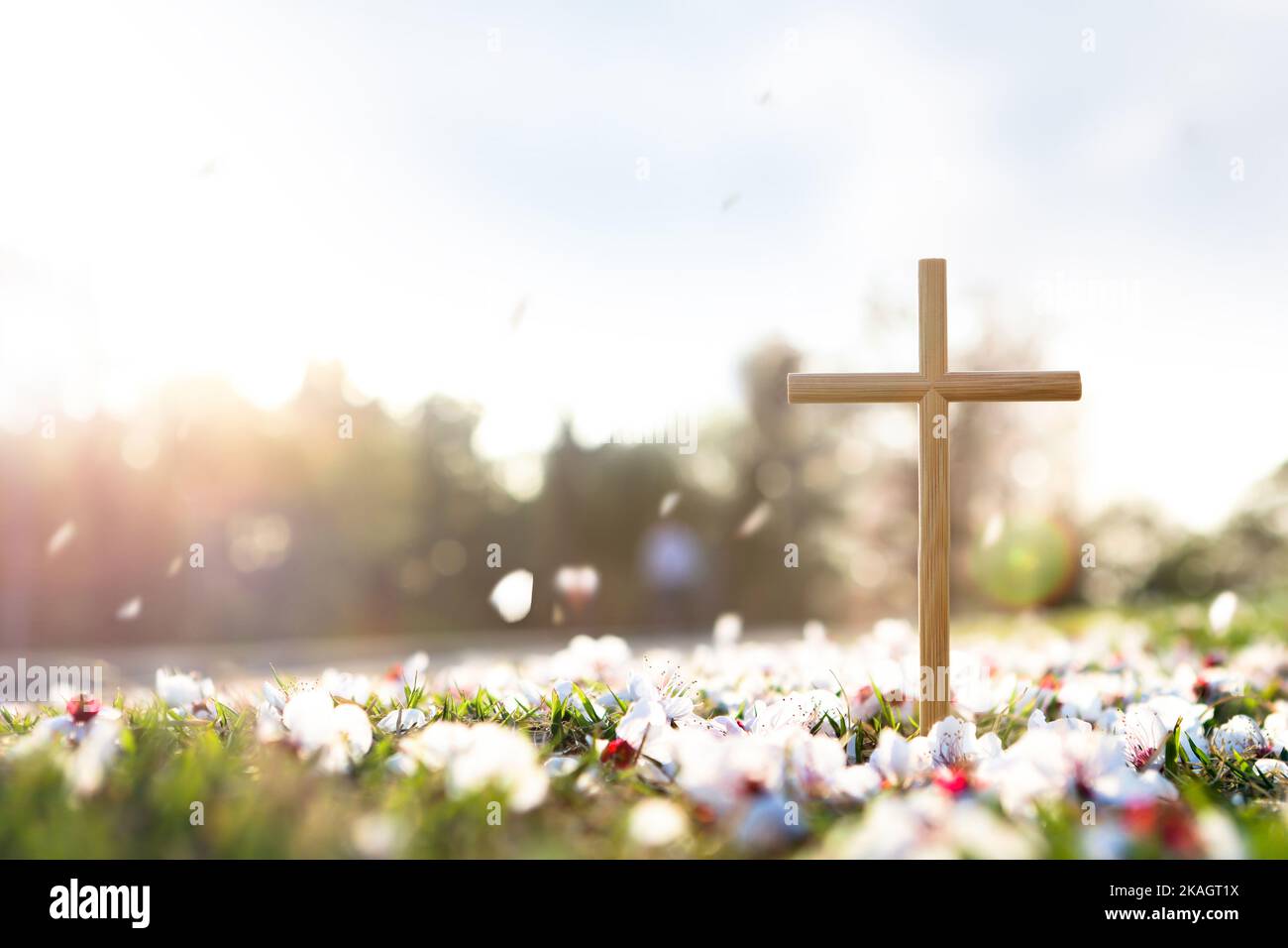 Cross symbolizing the death and resurrection of Jesus Christ, spring flowers, falling petals and bright sunlight Stock Photo