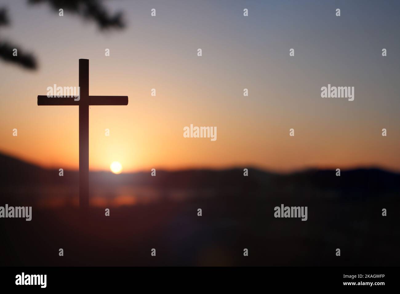 The sunlight shining brightly through the forest trees at sunset and