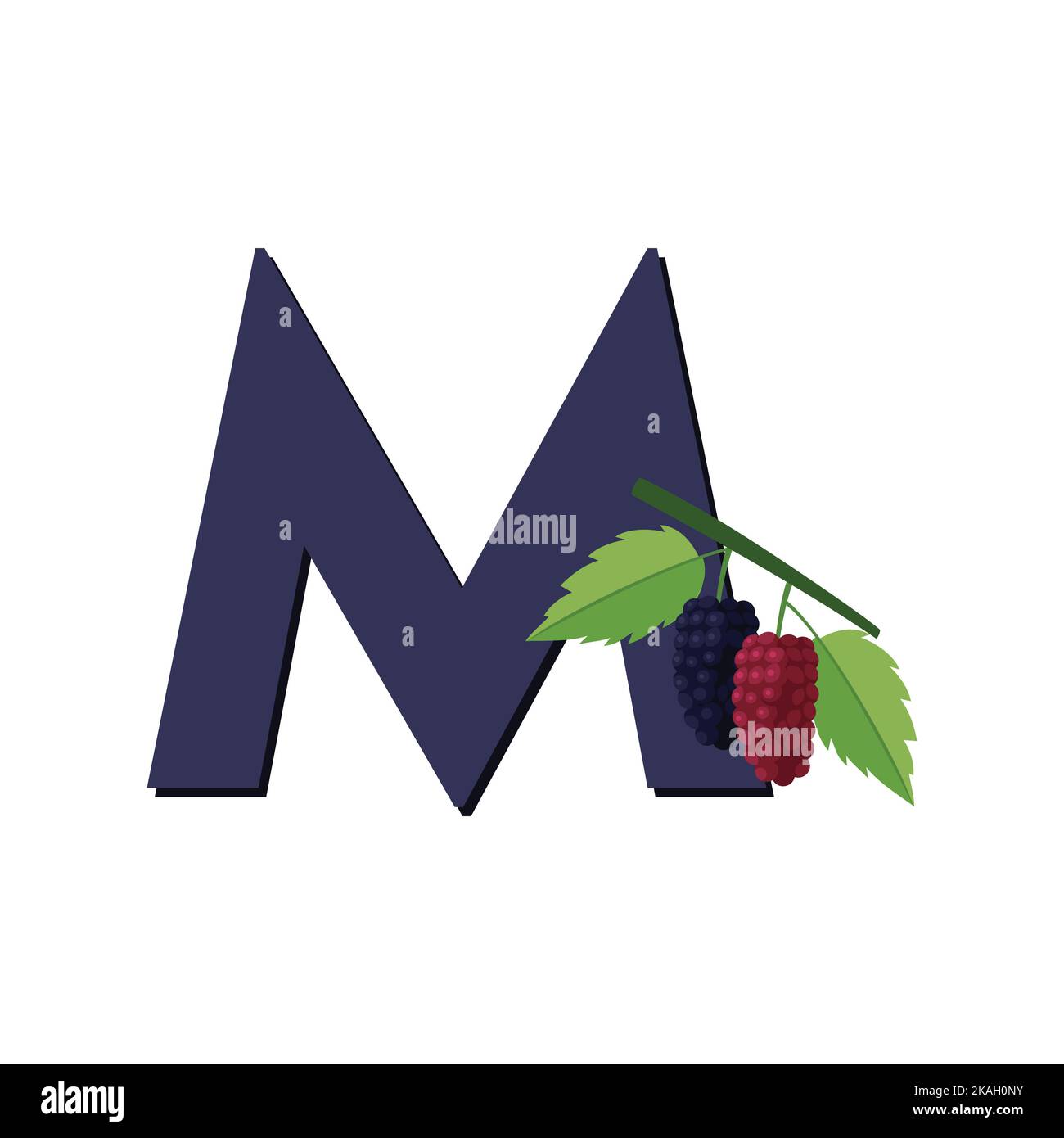Letter M Alphabet Fruits Mulberry, Clip Art Vector, Illustration