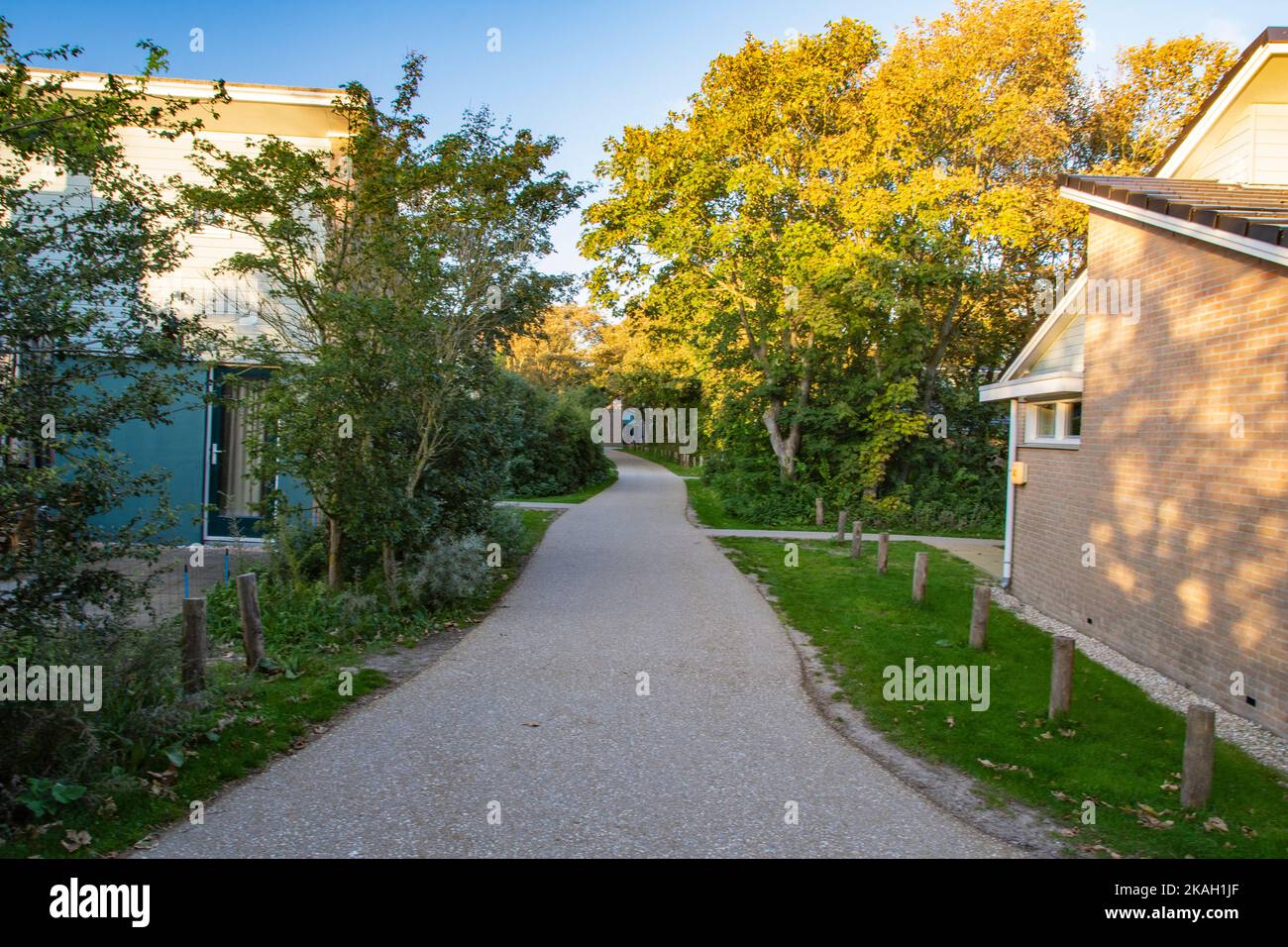 A path among trees and houses on a sunny afternoon Stock Photo - Alamy