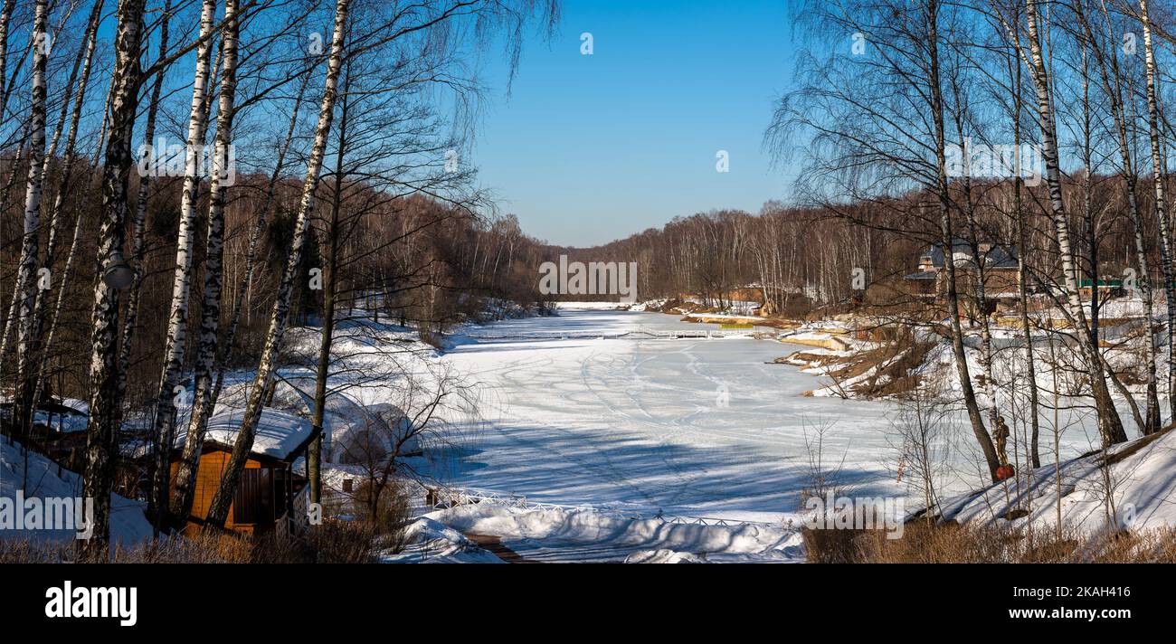Panorama birch trees under snow hi-res stock photography and images - Alamy