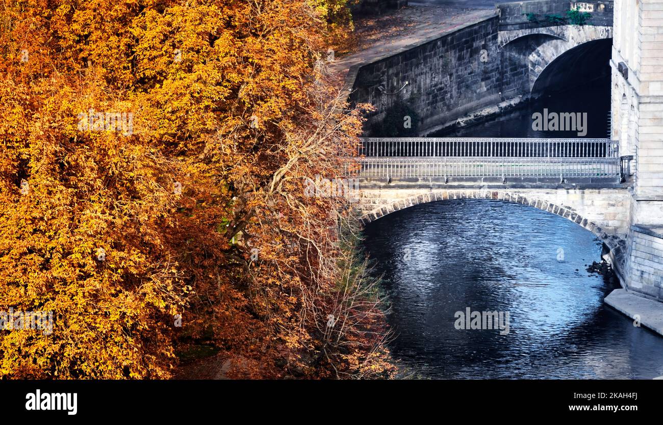 Trees with red and orange discolored leaves in autumn at a water ditch