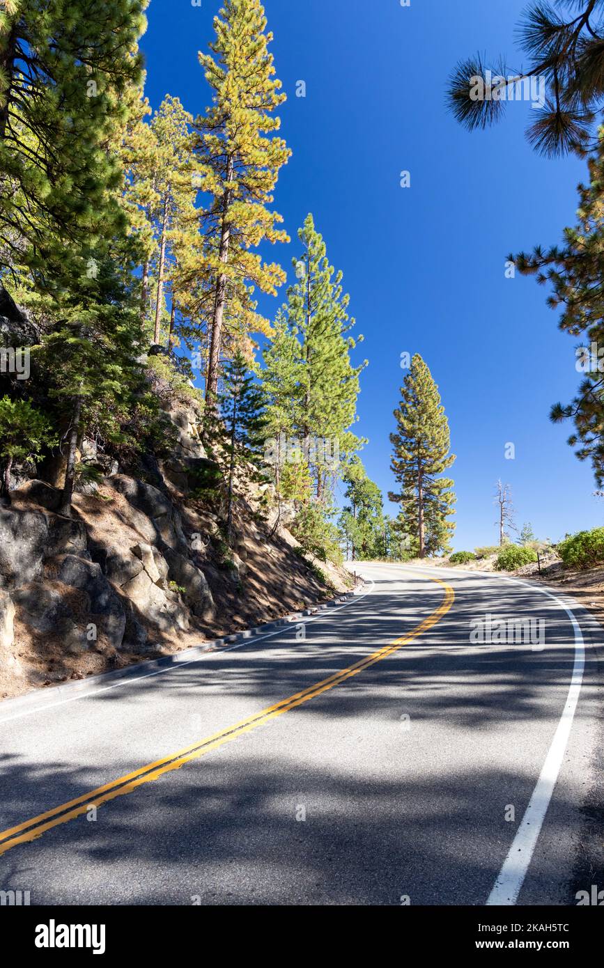 Asphalt curve road through forest Stock Photo - Alamy