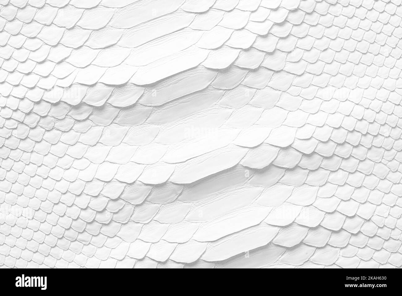 White snake skin texture, natural reptile leather as background Stock Photo