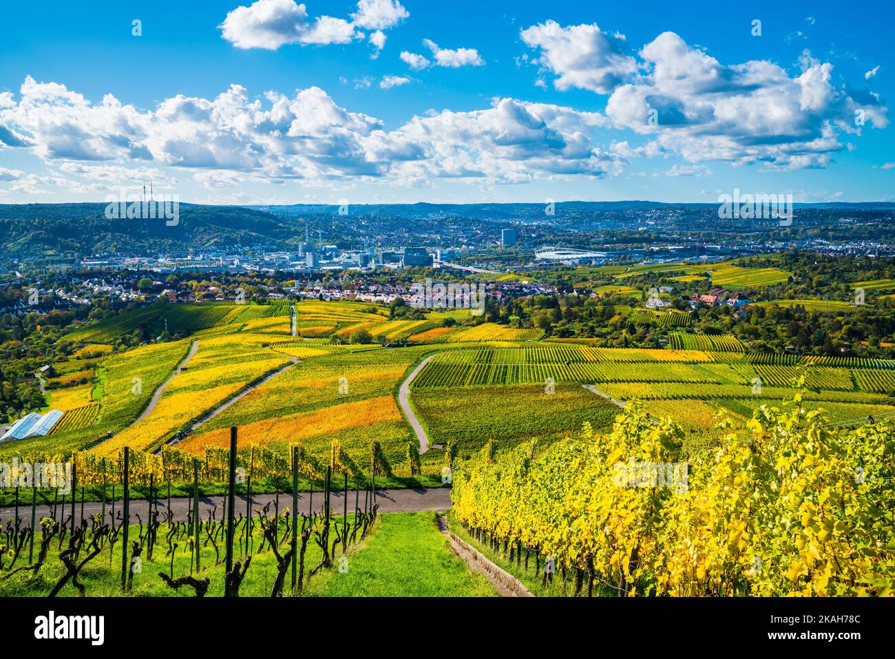 Germany, Stuttgart skyline city vineyard panorama view stadium industry ...