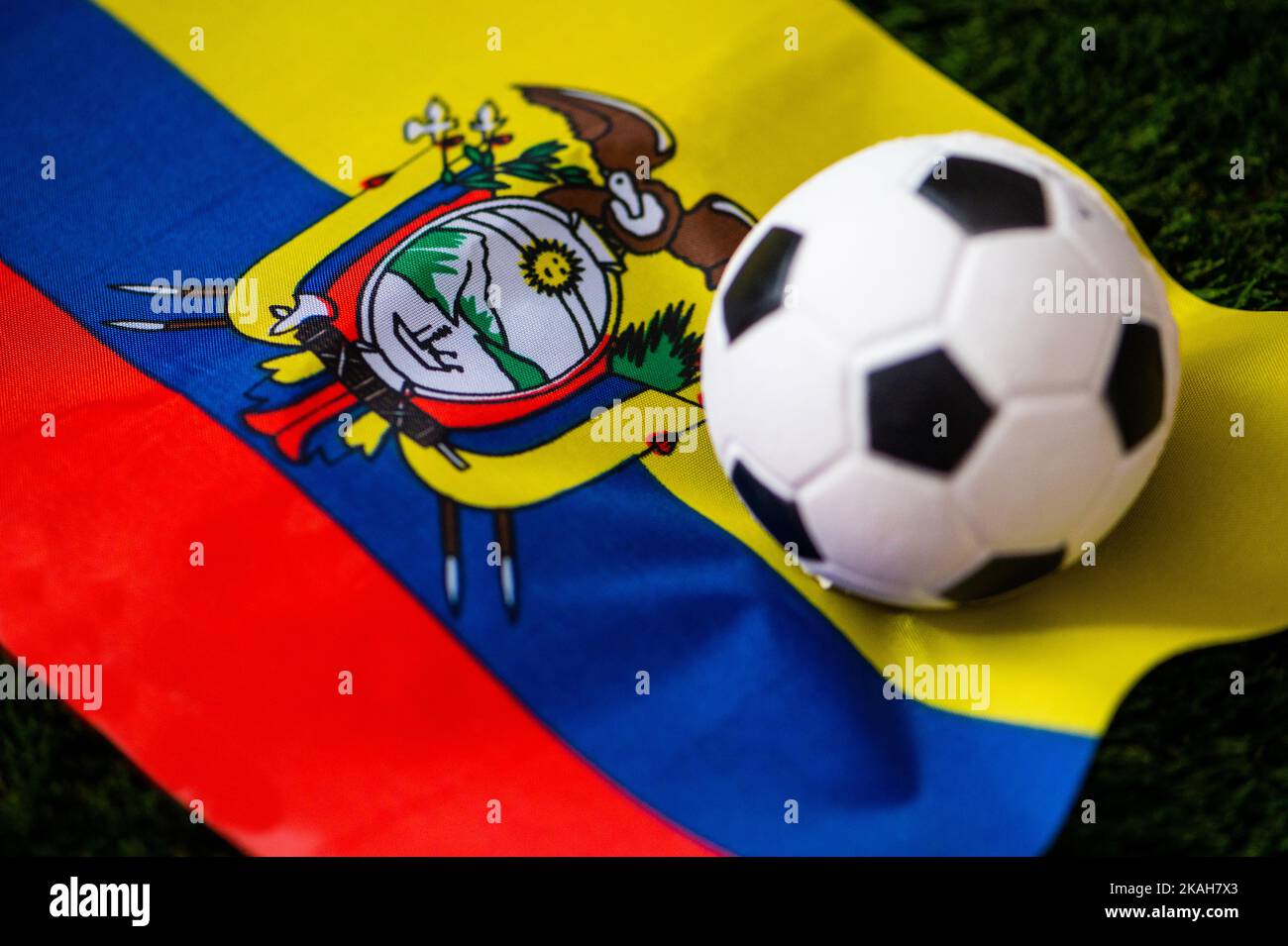 Ecuador national football team. National Flag on green grass and soccer ball. Football wallpaper for Championship and Tournament in 2022. World intern Stock Photo