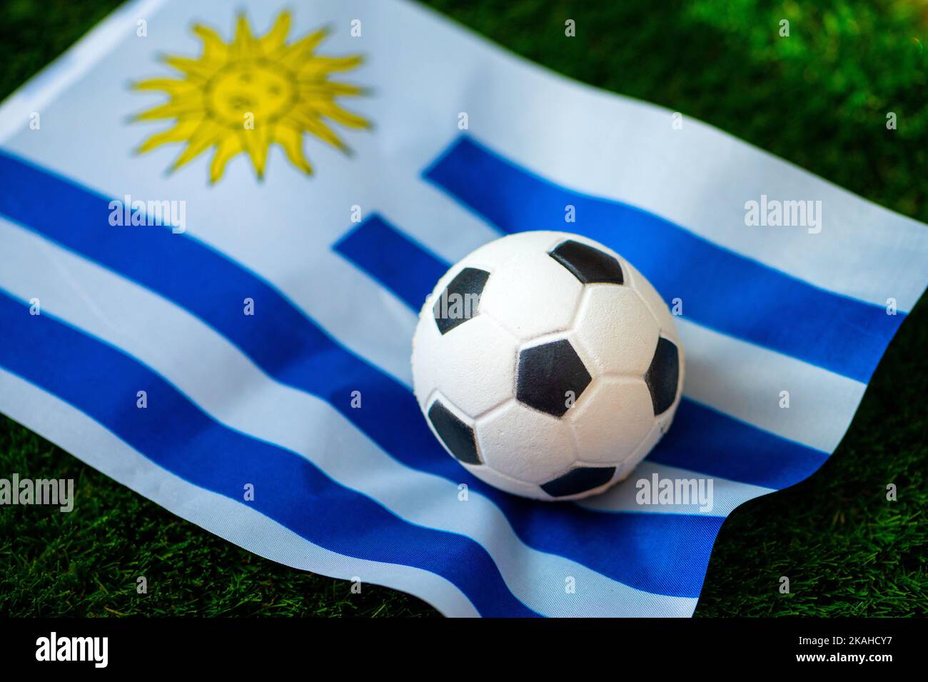 Uruguay national football team. National Flag on green grass and soccer ball. Football wallpaper for Championship and Tournament in 2022. World intern Stock Photo