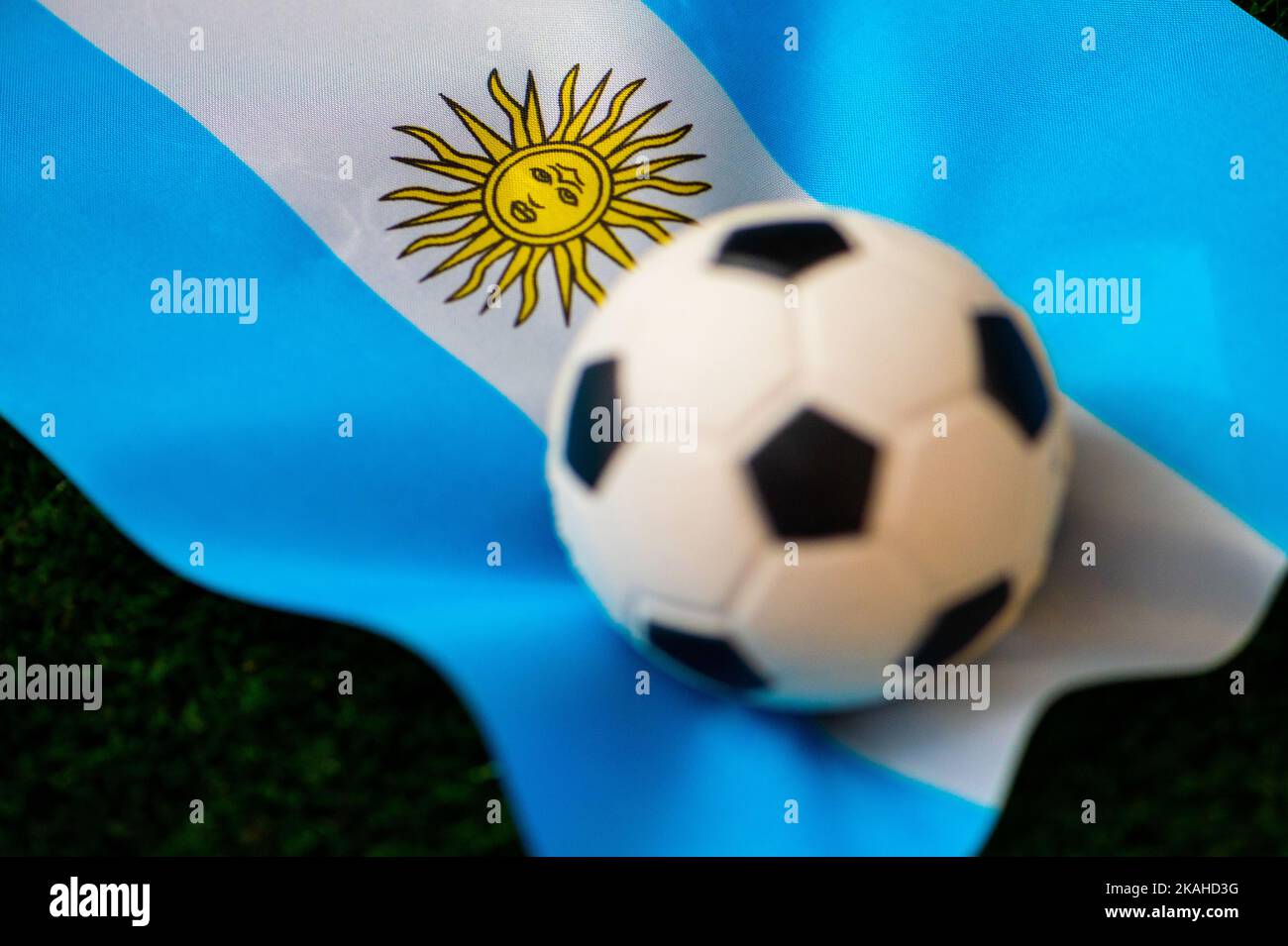 Argentina national football team. National Flag on green grass and soccer  ball. Football wallpaper for Championship and Tournament in 2022. World  inte Stock Photo - Alamy