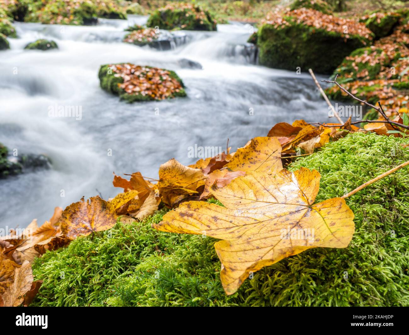 Tree By Stream Fall Fallen tree stream water hi-res stock photography and images - Alamy