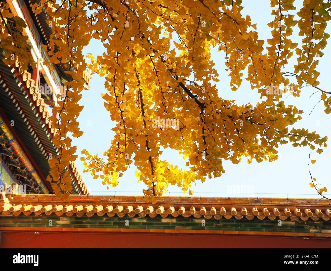 BEIJING, CHINA - NOVEMBER 3, 2022 - Autumn scenery of the Palace Museum in Beijing, capital of China, Nov 3, 2022. Stock Photo
