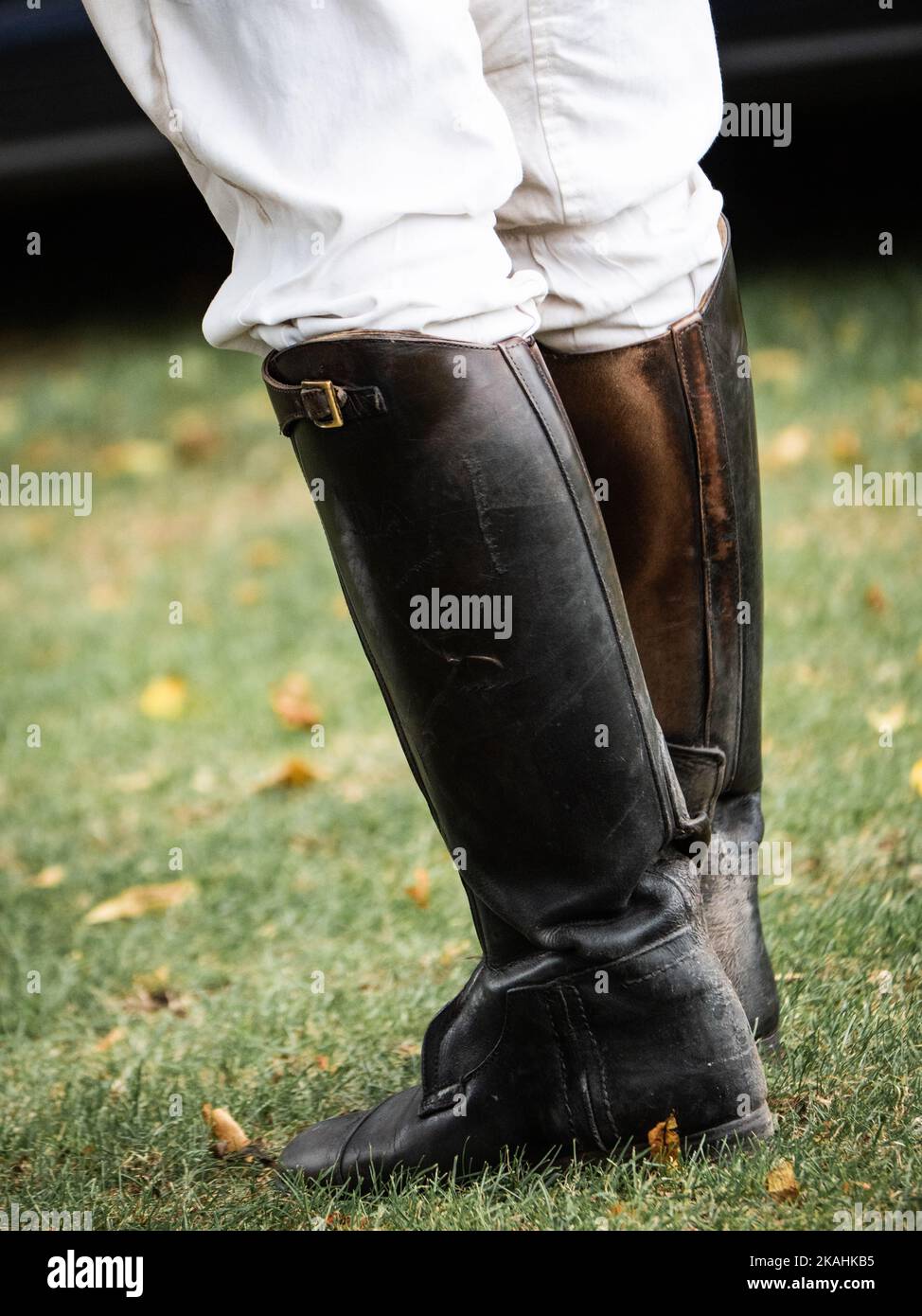 Mens polo riding boots hotsell