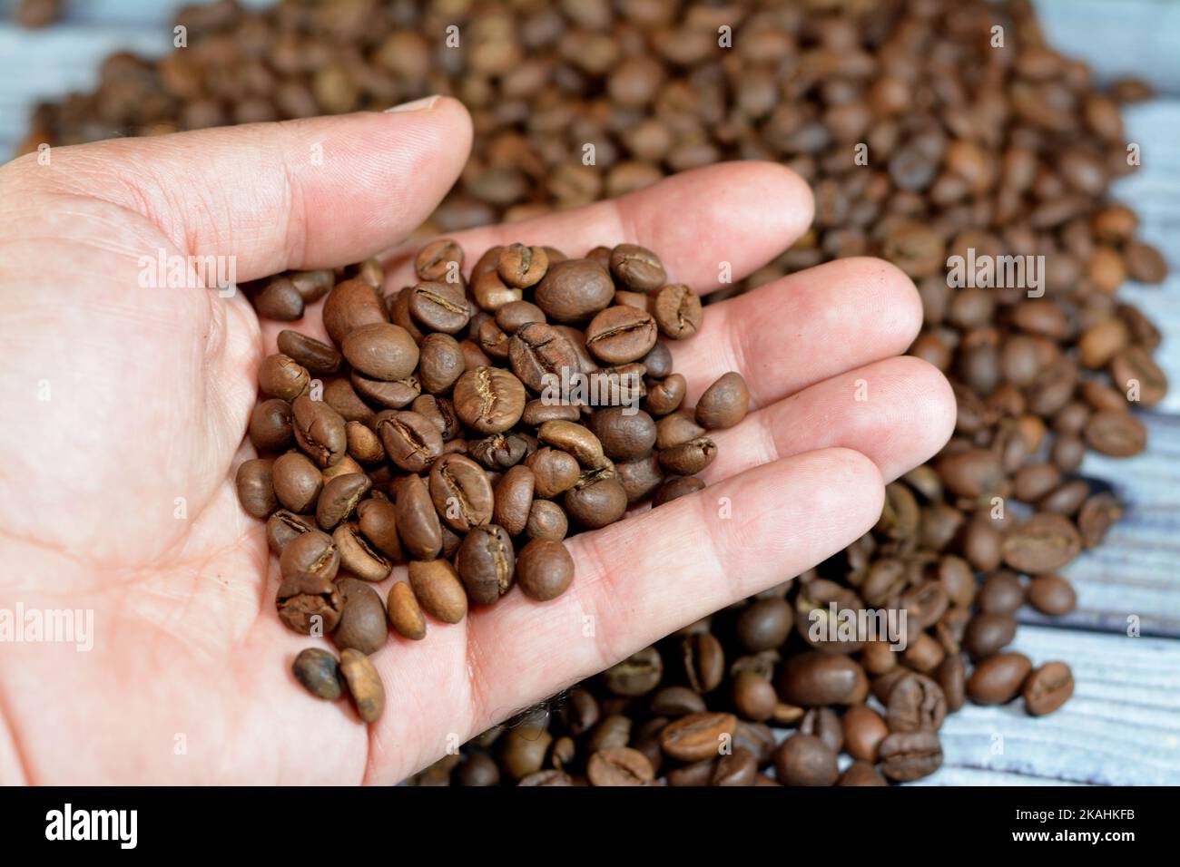coffee beans, seeds of the Coffea plant and the source for coffee. It is the pip inside the red or purple fruit often referred to as a coffee cherry o Stock Photo