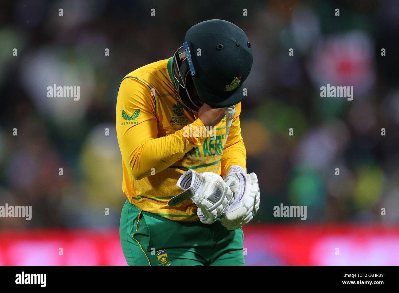 Sydney, Australia. 03rd Nov, 2022. A dejected Temba Bavuma of South ...