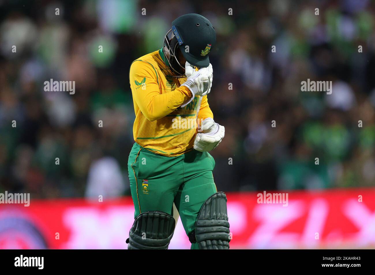 Sydney, Australia. 03rd Nov, 2022. A dejected Temba Bavuma of South ...