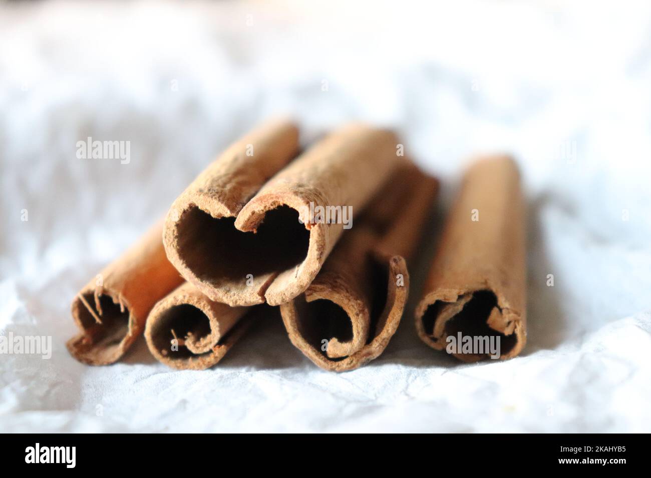Close-up of Cinnamon sticks against white background Stock Photo