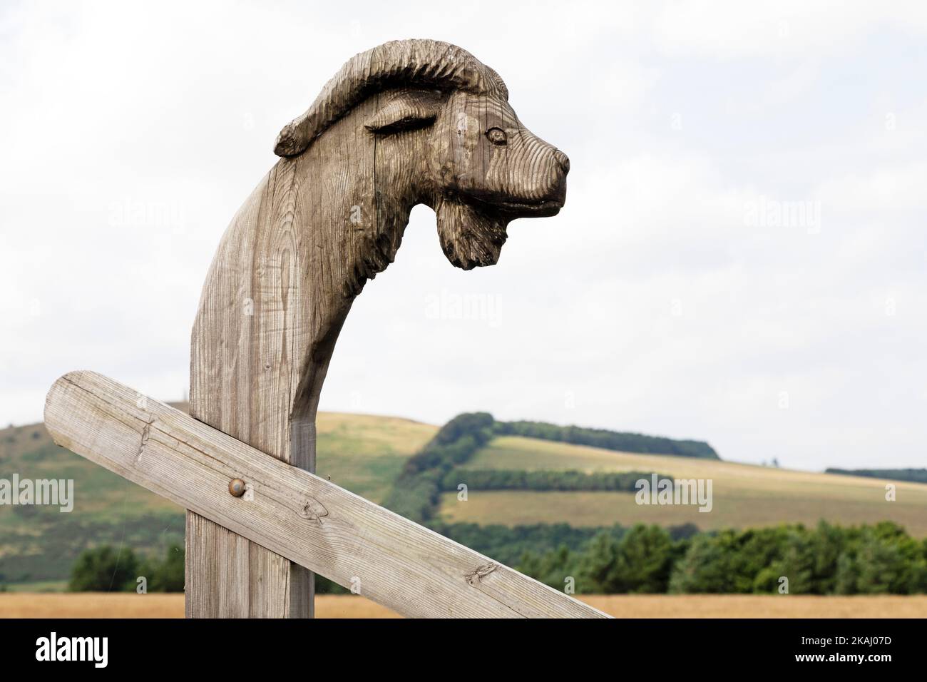 An Anglo-Saxon-style wooden pillar topped by the carving of a beast at Yeavering near Wooler, Northumberland. During the 7th century the pwerful royal Stock Photo