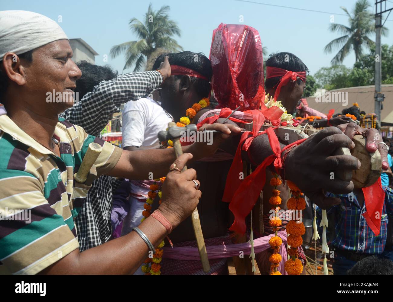 A Hindu devotee is pierced with nail to a cross during the annual Shiva