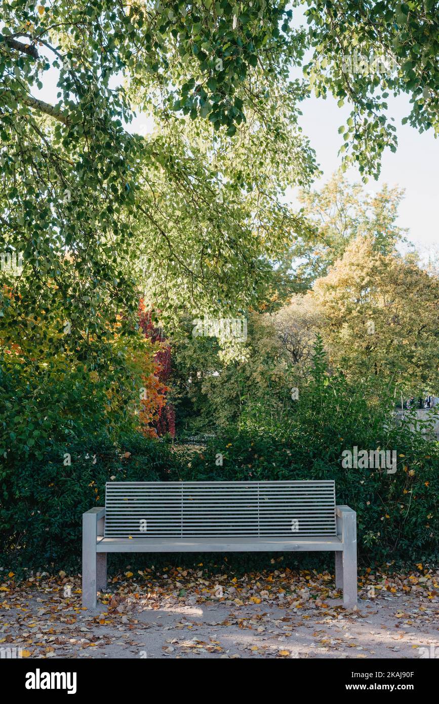 White Park Bench With Stone Wall And Green Leaves Of The Ivy In Quiet ...