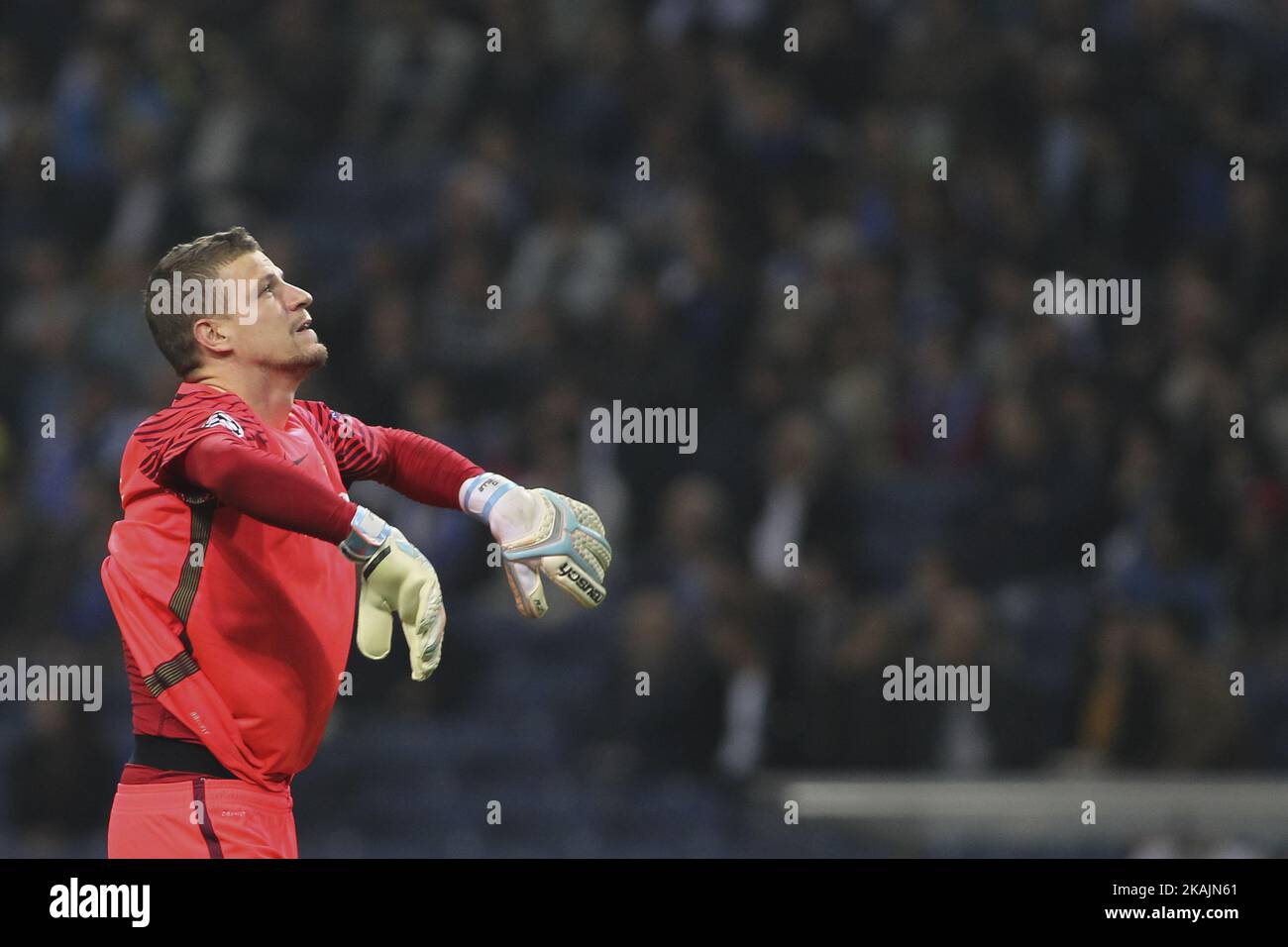 Ludovic Butelle goalkeeper of Club Brugge during UEFA Champions League Group G, match between FC Porto and Club Brugge, at Dragao Stadium in Porto on November 2, 2016. (Photo by Pedro Lopes / DPI / NurPhoto) *** Please Use Credit from Credit Field *** Stock Photo