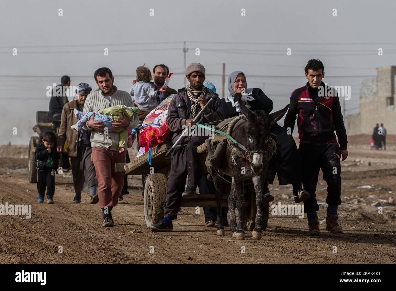 (12/2/2016) Residents of Mosul / Iraq reach the liberated district of Hay Samah, on the eastern outskirts of Mosul / Iraq, on their flight from the fighting between the Iraqi army and ISIS. (Photo by Sebastian Backhaus/NurPhoto) *** Please Use Credit from Credit Field *** Stock Photo
