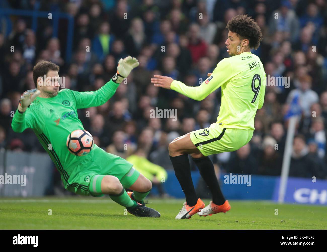 Chelsea's Asmir Begovic save from Lee Angol of Peterborough United during The Emirates F A Cup - Third Round match between Chelsea against Peterborough United at Stamford Bridge, London, Britain - 08 Jan 2017 (Photo by Kieran Galvin/NurPhoto) *** Please Use Credit from Credit Field *** Stock Photo