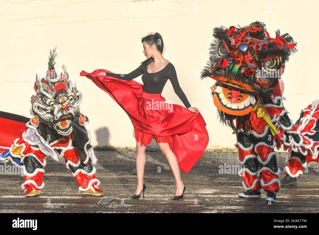 chinese new year festival dublin