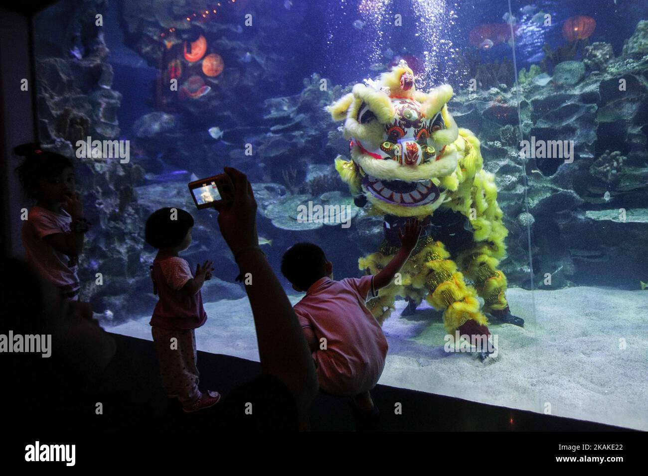 Divers wearing a Chinese traditional lion costume perform a lion dance in the water inconjuction of this Lunar New Year of the rooster at Aquaria KLCC, in Kuala Lumpur, Malaysia, on January 27, 2017. The Lunar New Year will mark the start of the 'Year of the Rooster' on January 28. (Photo by Hafiz Sohaimi/NurPhoto) *** Please Use Credit from Credit Field *** Stock Photo