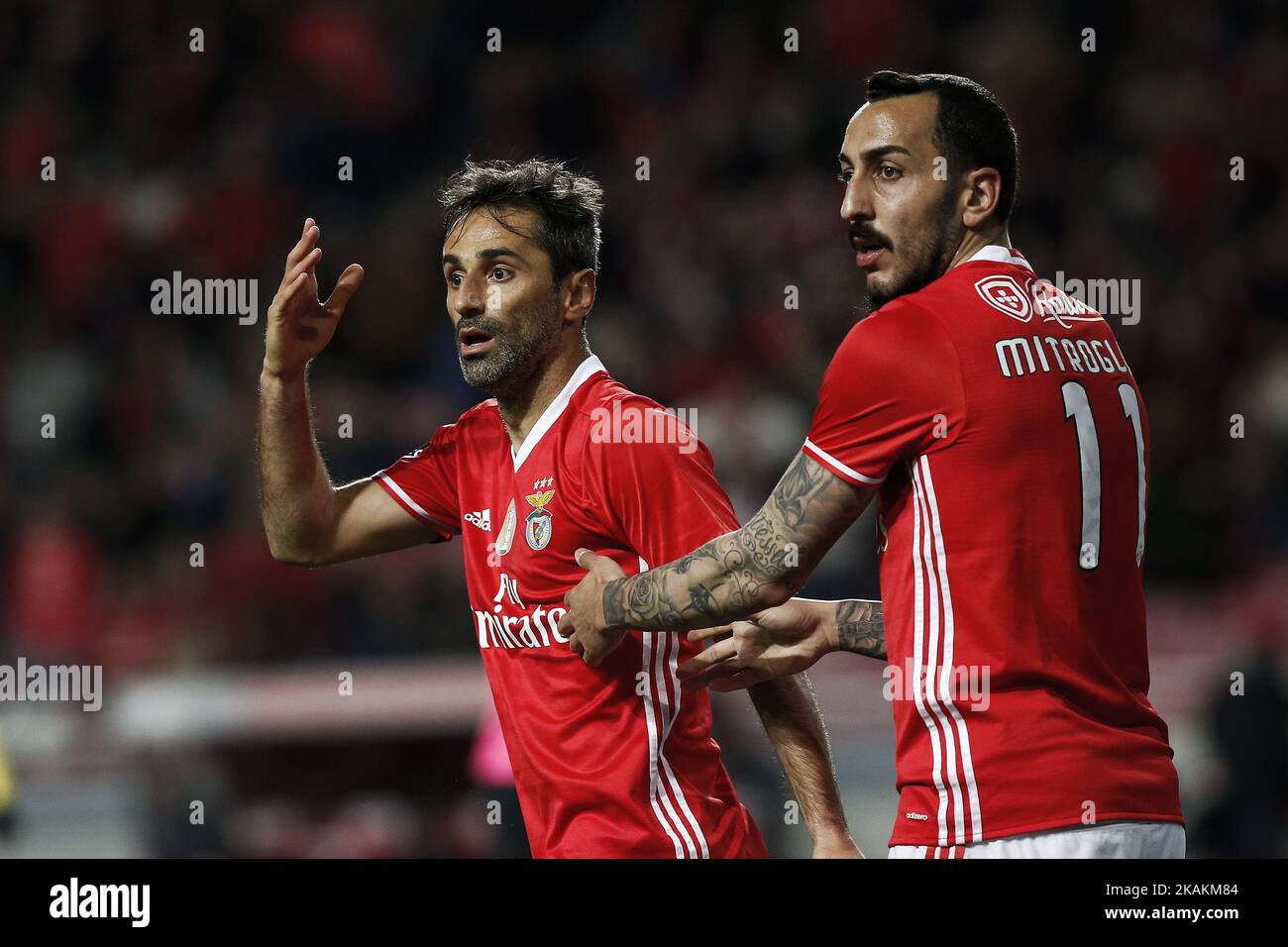 Benfica's forward Jonas (L) and Benfica's forward Kostas Mitroglou (R) react during Premier League 2016/17 match between SL Benfica vs FC Arouca, in Lisbon, on February 10, 2017. (Photo by Carlos Palma/NurPhoto) *** Please Use Credit from Credit Field *** Stock Photo