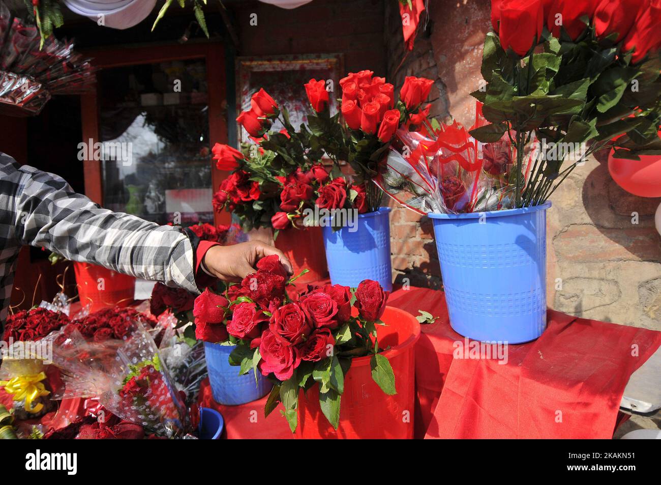 A worker arranging roses for the celebration on Valentine's day at Durbarmarg, Kathmandu, Nepal on Tuesday, February 14, 2017. Flower shops in the Kathmandu Valley have prepared thousands of rose sticks for the ValentineÂ’s Day at Durbarmarg, Kathmandu, Nepal. Nepal has imported 200,000 red roses, a symbol of love worth Rs 5 million from India for celebrating Valentine's Day, according to the Floriculture Association Nepal. (Photo by Narayan Maharjan/NurPhoto) *** Please Use Credit from Credit Field *** Stock Photo