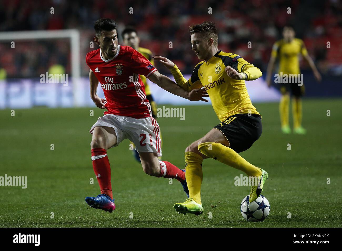 Benfica's forward Pizzi (L) vies for the ball with Dortmund's midfielder Marco Reus (R) during Champions League 2016/17 match between SL Benfica vs BVB Borussia Dortmund, in Lisbon, on February 14, 2017. (Photo by Carlos Palma/NurPhoto) *** Please Use Credit from Credit Field *** Stock Photo