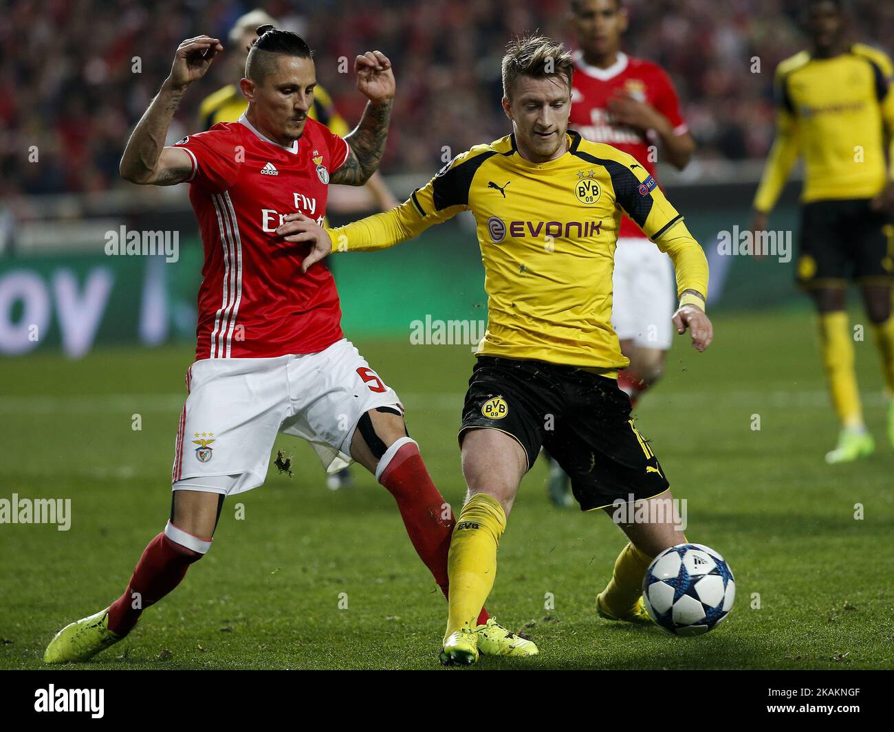 Benfica's midfielder Ljubomir Fejsa (L) vies for the ball with Dortmund's midfielder Marco Reus (R) during Champions League 2016/17 match between SL Benfica vs BVB Borussia Dortmund, in Lisbon, on February 14, 2017. (Photo by Carlos Palma/NurPhoto) *** Please Use Credit from Credit Field *** Stock Photo