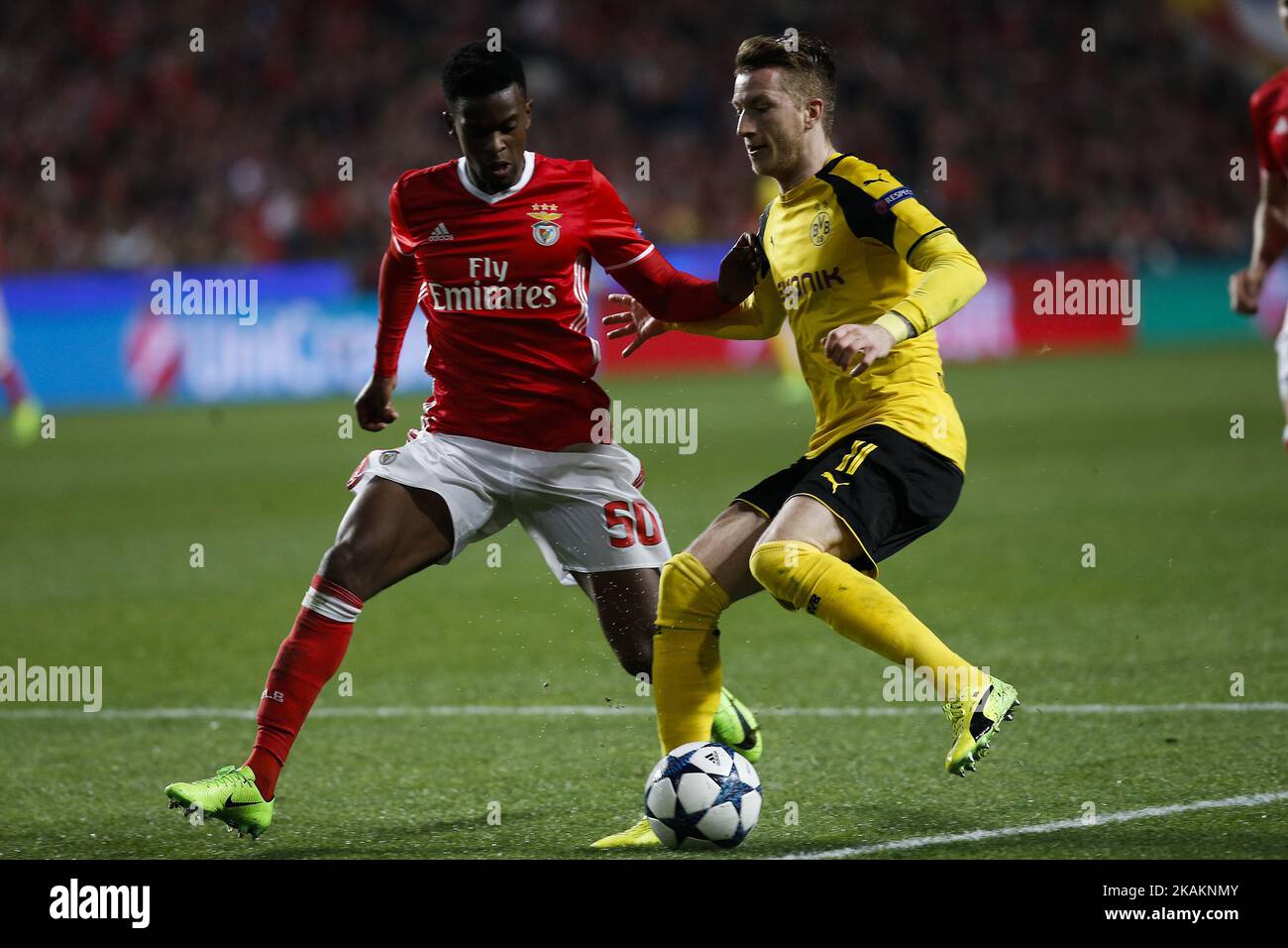 Benfica's defender Nelson Semedo (L) vies for the ball with Dortmund's midfielder Marco Reus (R) during Champions League 2016/17 match between SL Benfica vs BVB Borussia Dortmund, in Lisbon, on February 14, 2017. (Photo by Carlos Palma/NurPhoto) *** Please Use Credit from Credit Field *** Stock Photo