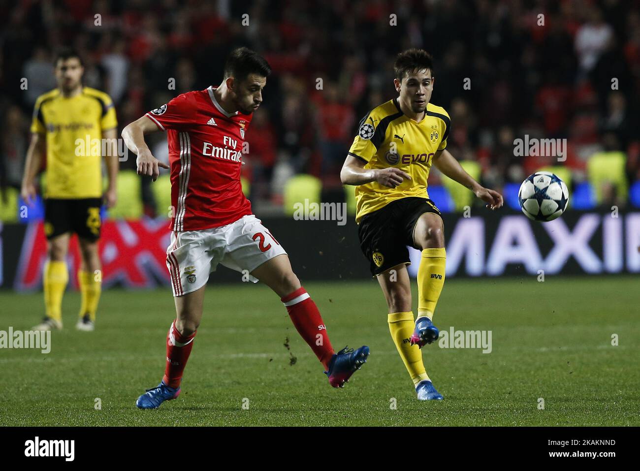 Benfica's forward Pizzi (L) vies for the ball with Dortmund's defender Raphael Guerreiro (R) during Champions League 2016/17 match between SL Benfica vs BVB Borussia Dortmund, in Lisbon, on February 14, 2017. (Photo by Carlos Palma/NurPhoto) *** Please Use Credit from Credit Field *** Stock Photo