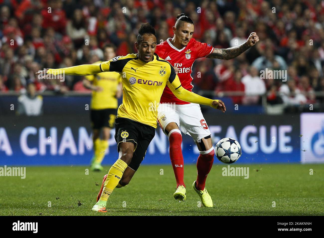 Dortmund's forward Aubameyang (L) vies for the ball with Benfica's midfielder Ljubomir Fejsa (R) during Champions League 2016/17 match between SL Benfica vs BVB Borussia Dortmund, in Lisbon, on February 14, 2017. (Photo by Carlos Palma/NurPhoto) *** Please Use Credit from Credit Field *** Stock Photo