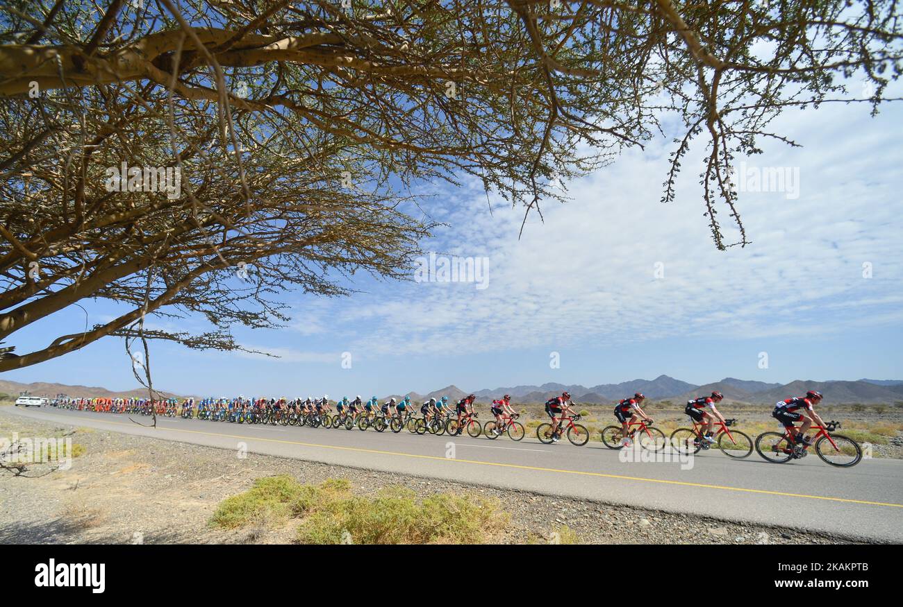 Members of BMC Racing Team lead the peloton during the fifth stage, a 152.5km from Sama'il to Jabal Al Akhdhar (Green Mountain), at the 2017 cycling Tour of Oman. On Saturday, February 18, 2017, in Samail, Ad Dakhiliyah Region, Oman. Photo by Artur Widak *** Please Use Credit from Credit Field ***  Stock Photo