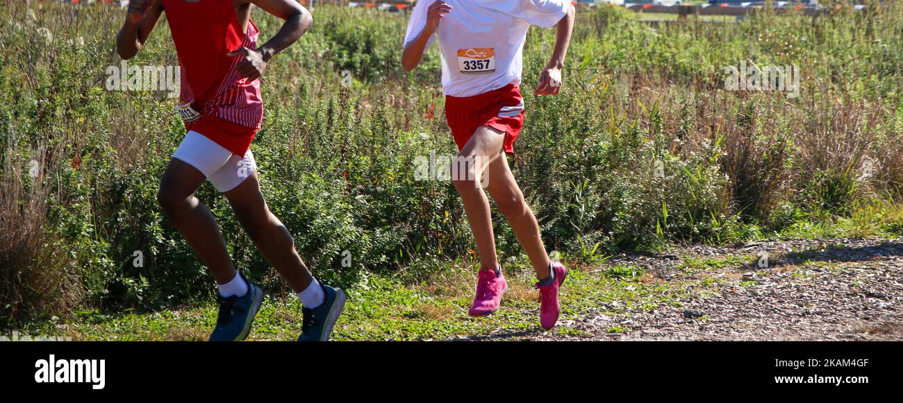 Two high school boys running in a cross country race with tall weeds in the background. Stock Photo