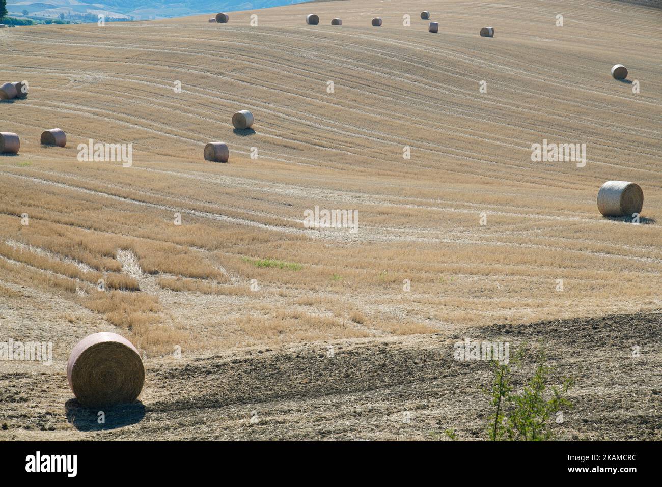 rural landscape,Landscape around Irsina, Matera province, Basilicata region, Italy Stock Photo