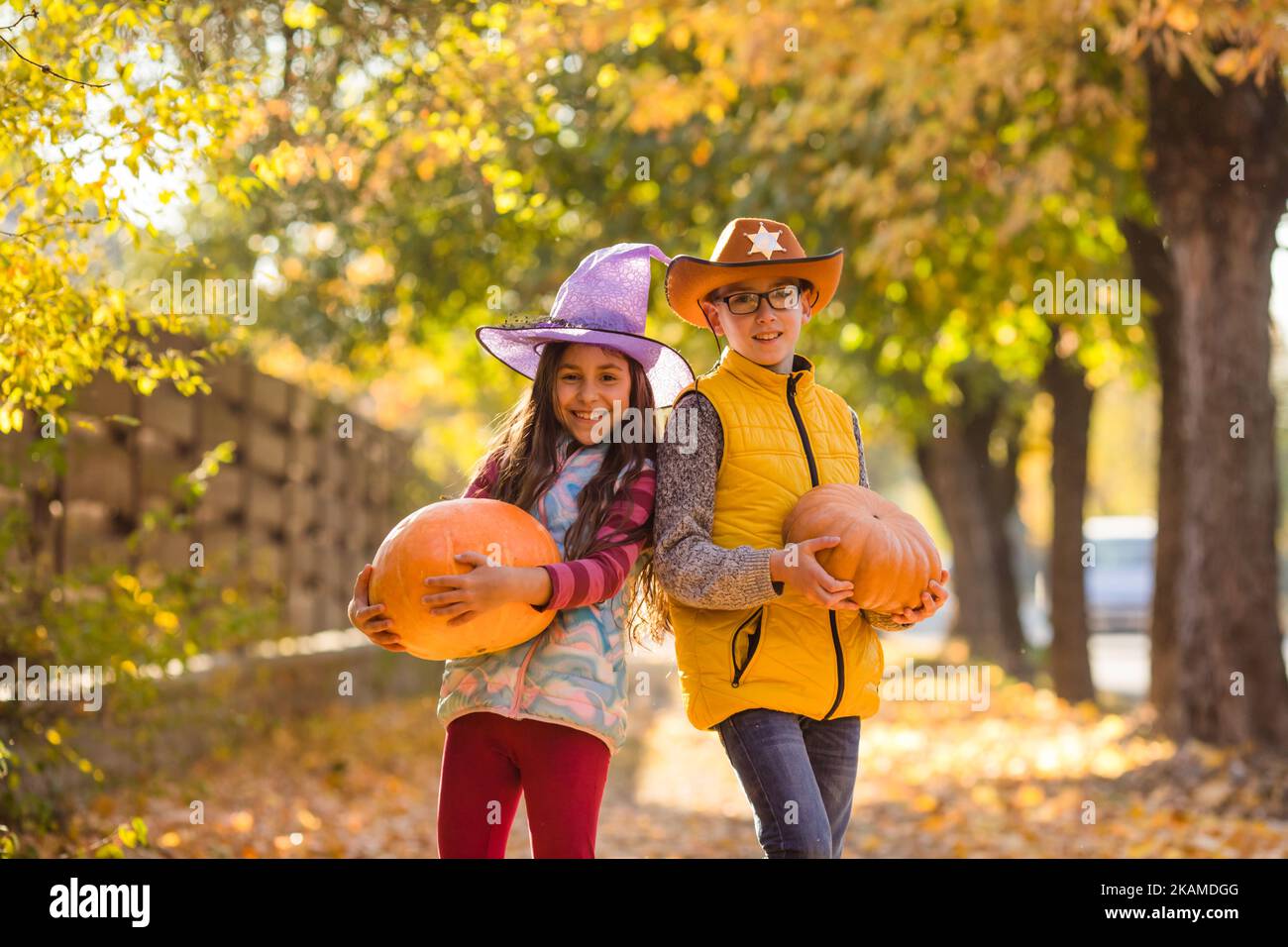 Kids Picking And Carving Pumpkins At Country Farm Stock Photo Alamy
