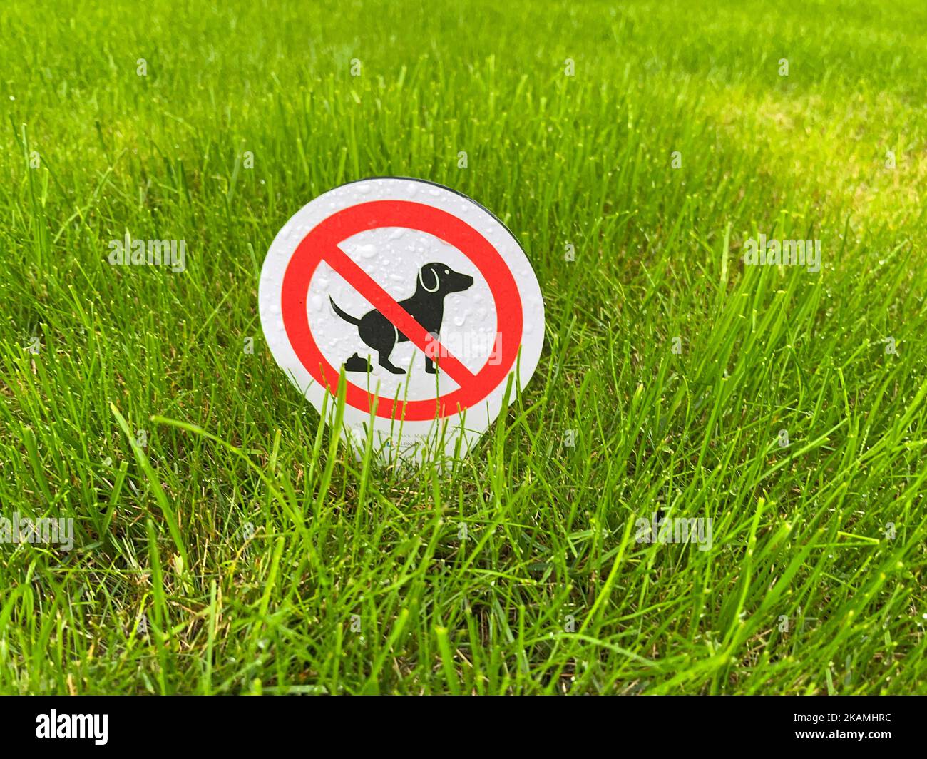 Sign banning dog excrement on a green gras meadow Stock Photo