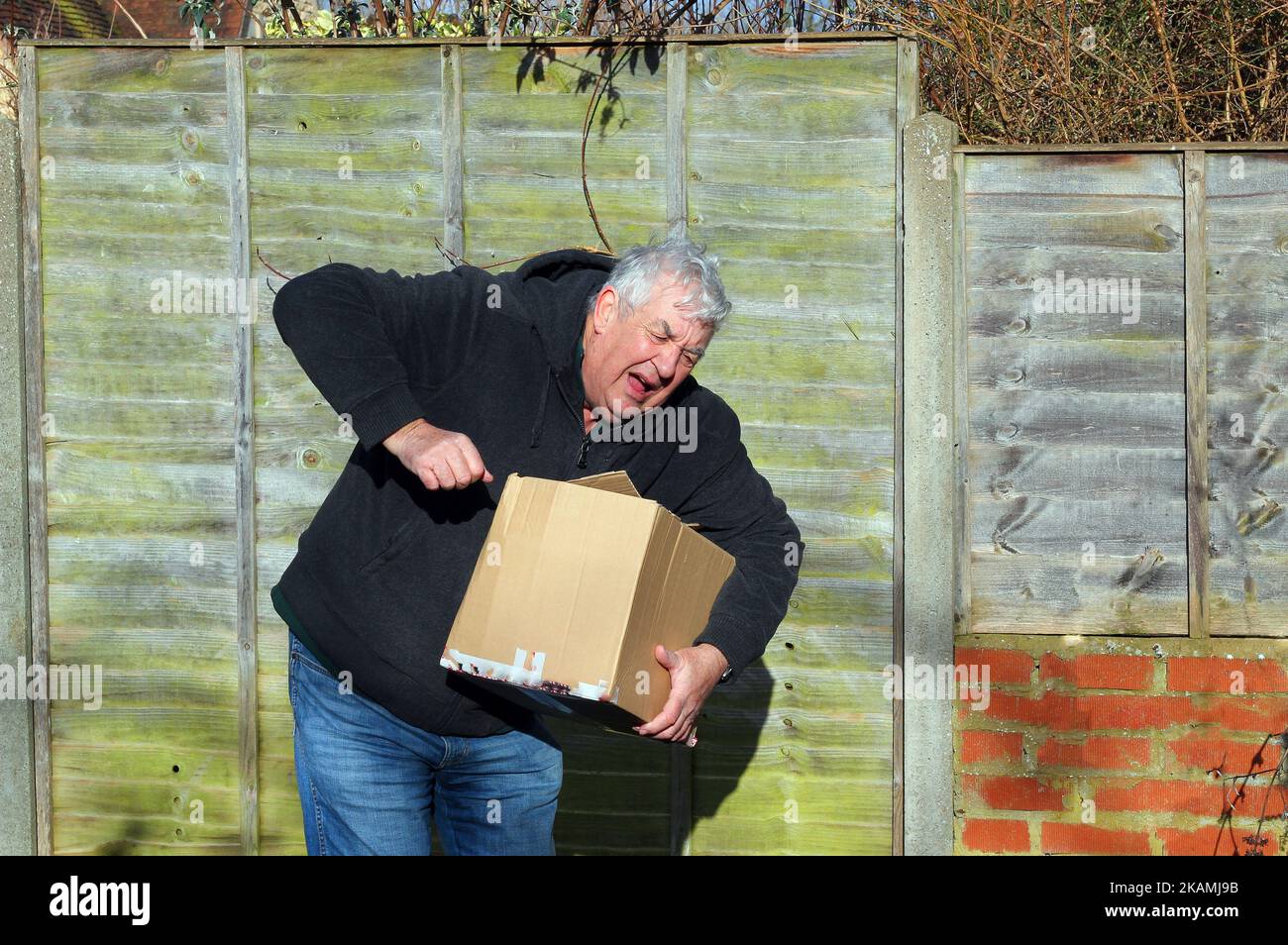 Old or elderly man lifting a heavy box and hurting himself. Box too heavy or lifting weight incorrectly. Stock Photo