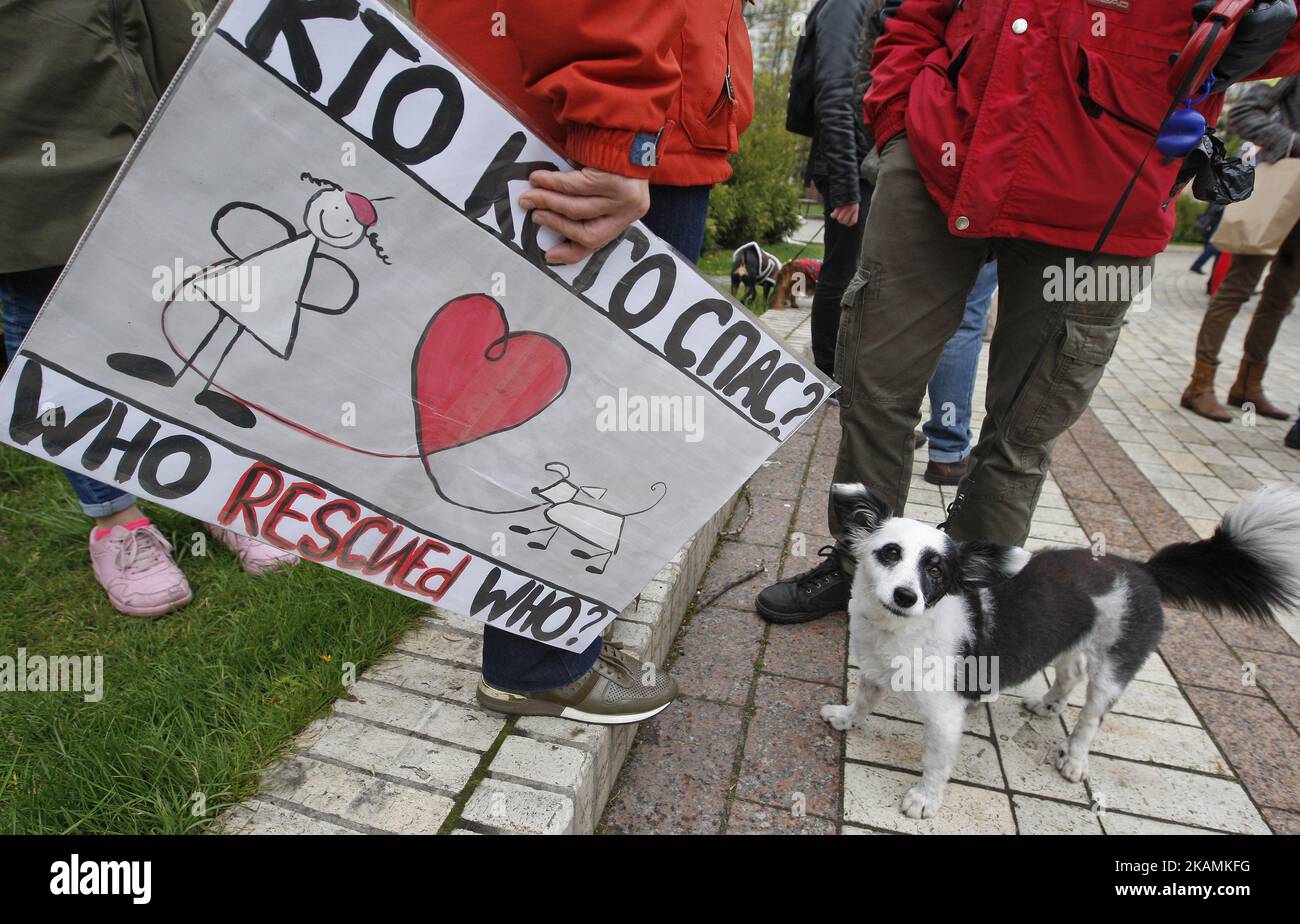 Animal rights posters hi-res stock photography and images - Alamy