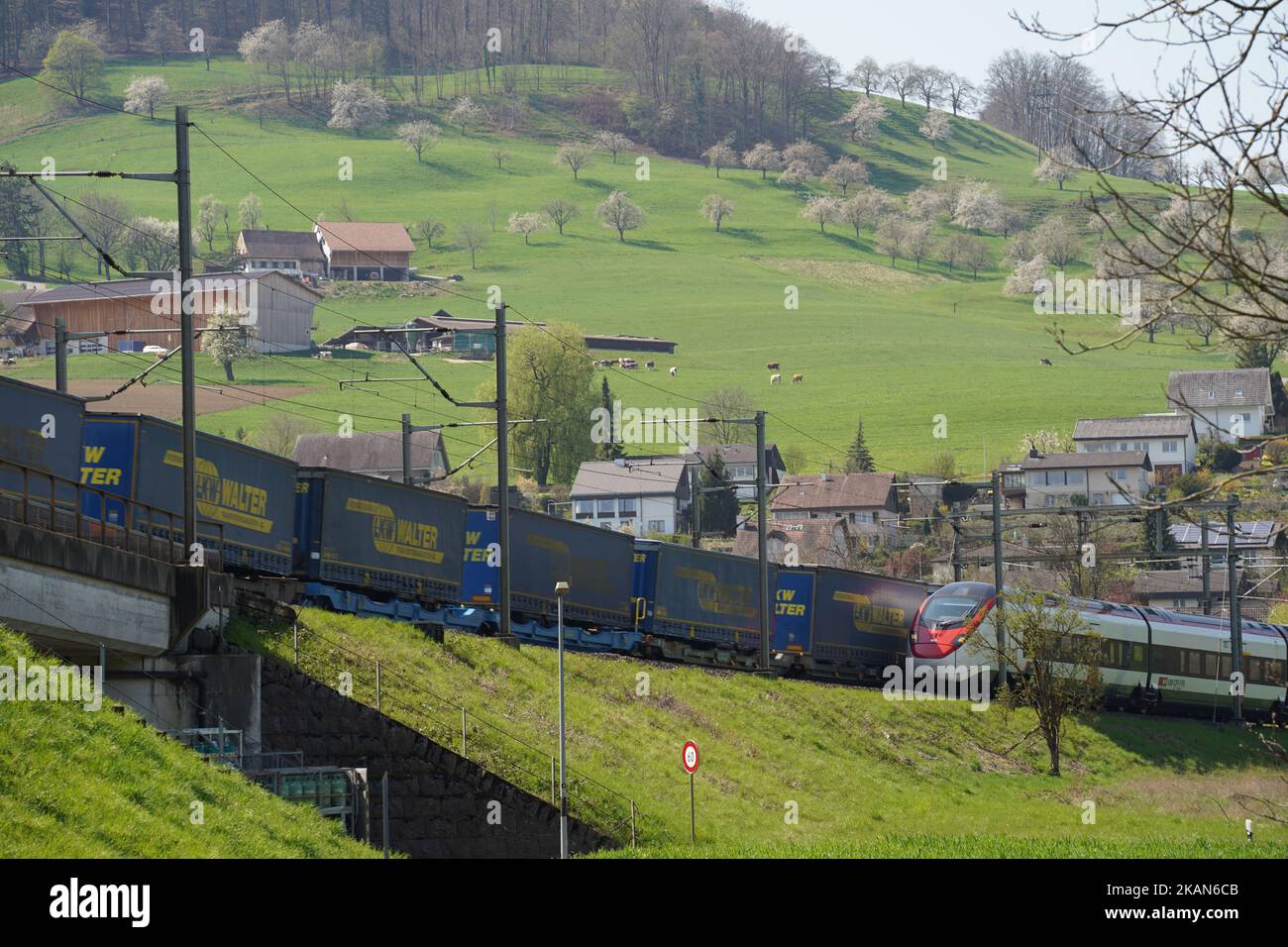 A SBB train and a container train moving through the field with houses and trees, Sissach, Switzerland Stock Photo