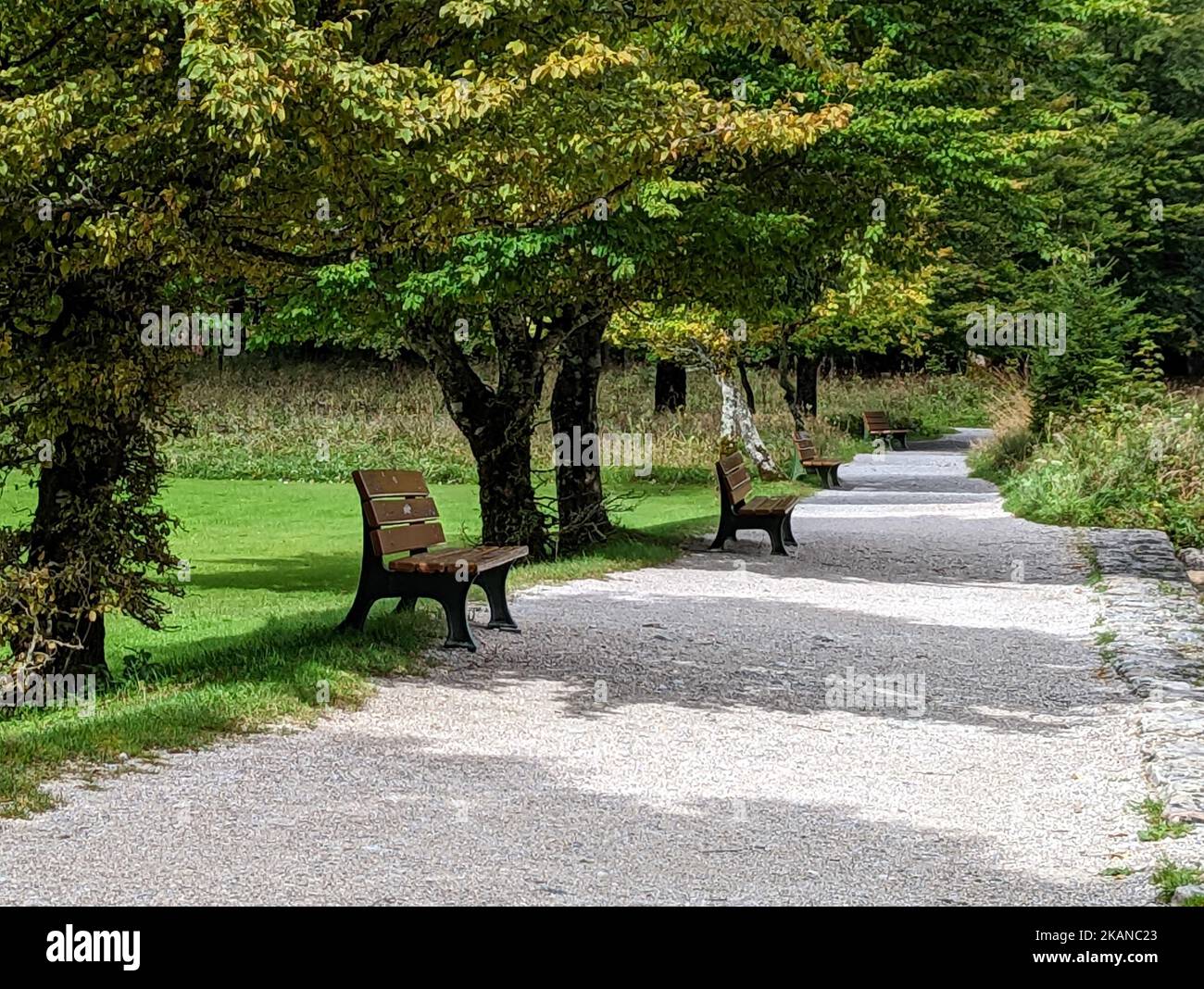 A benches under shady tree row and gravel path in a park Stock Photo ...